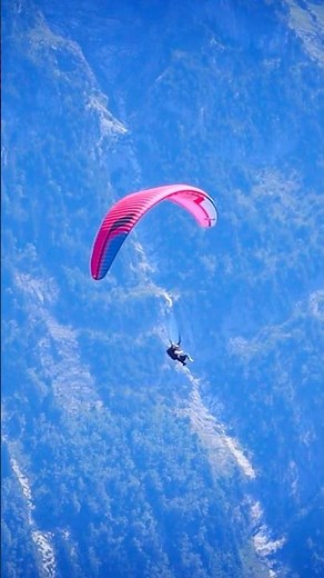 Paragliding at Grindelwald First ,Switzerland🇨🇭#grindelwald #ddlj