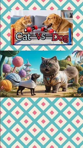 cat vs dog movie first 37 second