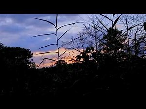 Beautiful Evening Sky