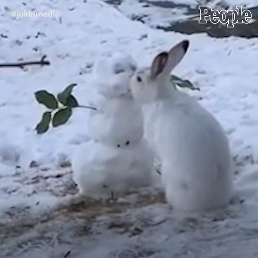 This bunny found a snack. 😂 #jukinmedia | People