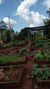 Chacra Misionera on Reels