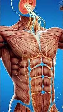 Benefits of Drinking Guava Juice | Natural Energy, Better Digestion & Fresh Mind 🍏✨