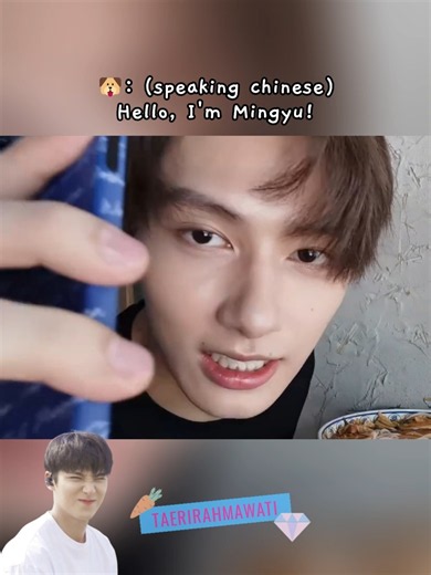 the conversation of junhui and gyuchan "the chinese line (?)" 😭😂 #seventeen #jun #mingyu #dino