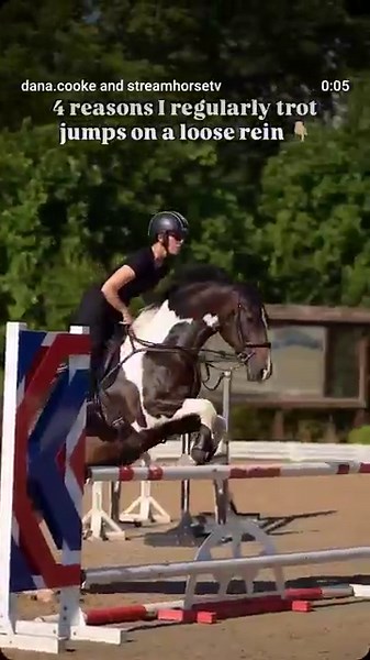 streamhorse: trot jumping tips: loose rein horsemanship