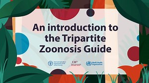 3.4K views · 156 reactions | Addressing zoonotic diseases requires multisectoral collaboration under a #OneHealth approach. The online training launched by the Tripartite enables capacity-building to respond to these disease threats on both a local and global scale. WATCH NOW to learn more! | World Organisation for Animal Health | Facebook