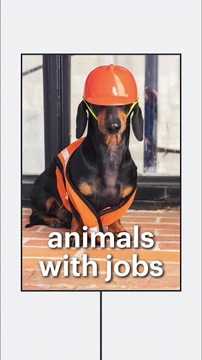 Lucid Software on Instagram: "When animals have jobs, they make the most exemplary employees. Come along as we explain just a few of these unbelievable stories about working animals. #pets #animals #cats #dogs #history #work #career #lucidchart #lucidsoftware"