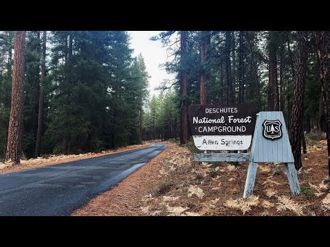 (4K UHD) REVIEWING EACH CAMPSITE @ Allen Springs Campground | Metolius River | Deschutes NF | Oregon