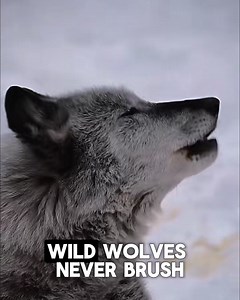 2.7K views · 148 reactions | Ditch the toothbrush and dental visits!...