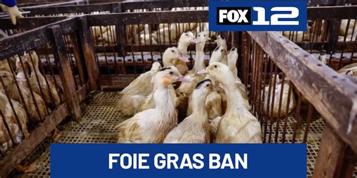 Local organization hopes to push forward ban on foie gras in Portland restaurants