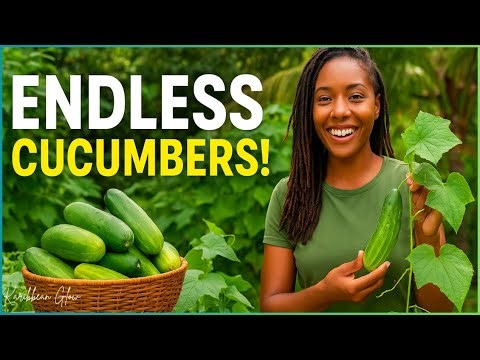 Cucumber Growing Hack: Endless Harvests All Season!