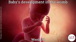 Your pregnancy: 34 weeks pregnant - Netmums