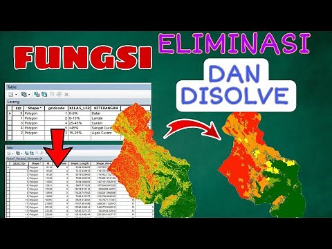 TUTORIAL FUNGSI DISOLVE DAN ELIMINASI PADA ARCGIS