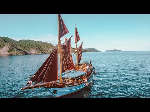 AMAZING Raja Ampat Dive Liveaboard Trip!