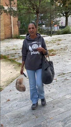 🇫🇷 VOUS AVEZ UN MESSAGE 💌