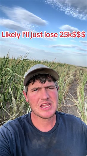 Crop insurance explained, super long vidoe but detailed video of what farmers have to decide with crops and crop insurance. #fypシ゚viral #foryou #farmlife #agriculture