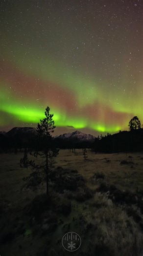 19K views · 1.9K reactions | Good morning!!!! | Polar Night Studio Яша | Facebook