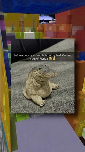 alligator and crocodile memes 🐊