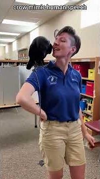 Crow mimic human speech