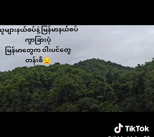 Exploring the Lush Forests of Myanmar