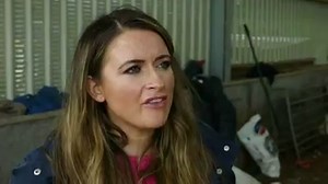 4.7K views · 82 reactions | In this week's episode, Anne finds out about the pros and cons of being a sheep shearer  Thursday 25th June on BBC Scotland at 8pm | Landward | Facebook