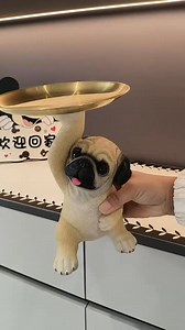 Add a playful touch to your home while keeping things organized with the Cute Pug Statue Storage Tray! 🐶✨ This charming decorative piece doubles as a practical tray for your daily essentials — perfect for dog lovers and stylish homes alike. ✅ 🗝️ Multi-purpose storage tray — holds keys, jewelry, coins, remote controls & more ✅ 🐾 Adorable pug statue design adds personality and charm to any room ✅ 🏠 Versatile décor accent — great for entryways, living rooms, bedrooms, and offices ✅ 🎁 Perfect g