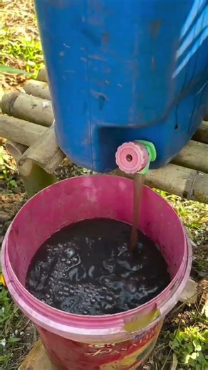 para mas lalong tumaba ang ating mga tanim ganito ang dapat gawin #viralreels #viralvideo #fbreels