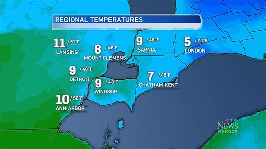 CTV Windsor: Weather at Six, Jan. 8