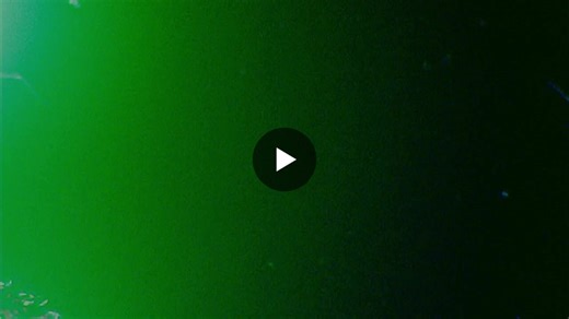 #betterforhavingbeen #summer2026 #internships #summerjobs #mysummercampexperience #campamerica #campleaders #summercamp #camp #iamtrailsend #tec | Sara Fetterhoff