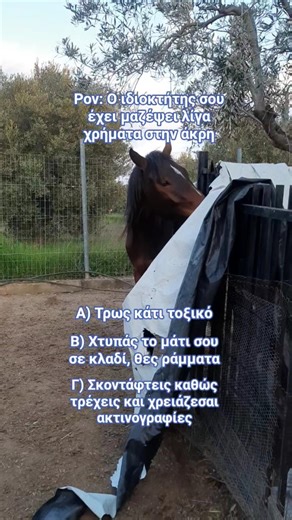 Πως σκέφτονται τα άλογα 🫠😬 #άλογα #κτηνίατρος #χρήματα