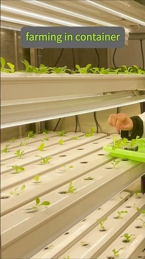 Farming in a Container: Smart, Efficient, Space-Saving Year-Round Food Production #hydroponics