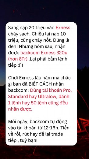 Understanding Exness and XM Forex Rebates