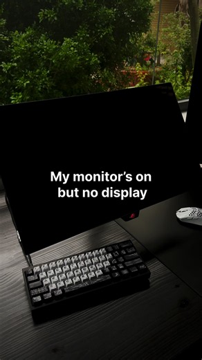 Both OLEDs: Dual OLED Monitor & TV Setup Guide
