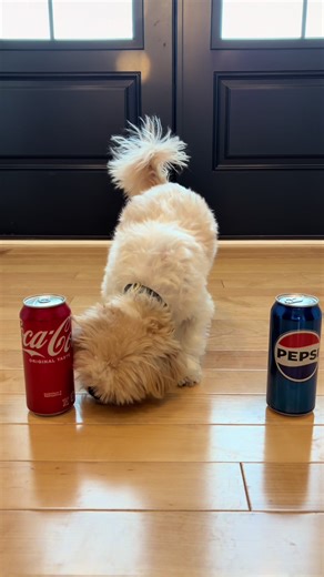 Super Bowl Commercials: Coca-Cola vs. Pepsi Showdown