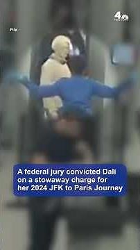 Serial stowaway does it again, sneaks onto Newark flight to Milan | NBC New York