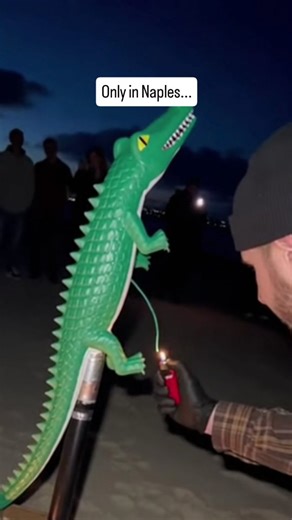 Naples Florida Life | Only in Naples do you walk out to the beach for New Years and somehow end up front row for a homemade gator firework launch that absolutely... | Instagram