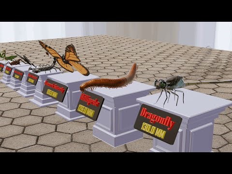 Insect Size Comparison 2025 | 3D Animation