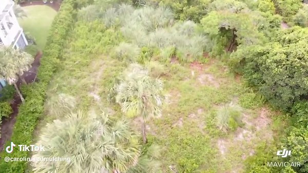 Got the great opportunity to clear this land right next to the beach so they can sell! Call us we service SOUTH CAROLINA! 854-219-6425! #landmulching #landclearing #acres #CAT #drinkprime #diamondmulcher #roadtomillionaire #beach #beachday
