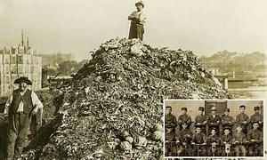 Mesmerising animation shows evolution of Sydney's cityscape