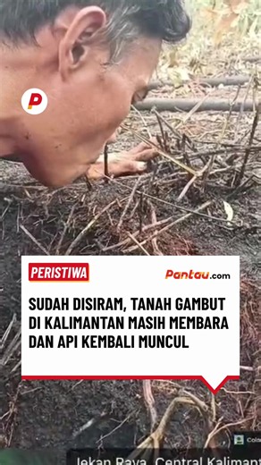 Kondisi tanah gambut di kawasan kebakaran hutan dan lahan (karhutla) di Kalimantan terlihat masih membara meski telah disiram berulang kali. Bara api yang tersimpan di bawah permukaan tanah membuat proses pemadaman menjadi jauh lebih sulit dibandingkan kebakaran biasa. Pada lahan gambut yang kering, api dapat merambat di lapisan bawah tanah dan kembali muncul ke permukaan ketika kondisi mendukung, termasuk saat angin bertiup. Karena itu, penyiraman permukaan saja belum tentu cukup untuk memastik