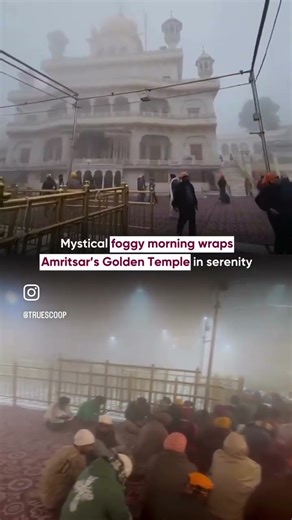 golden tempal || today video #gursikhlive #viral #wahguru #gurbani #darbarsahib #wmk #youtubeshorts