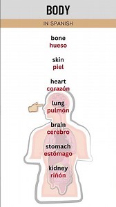 Learn Spanish with Spanish Vocabulary
