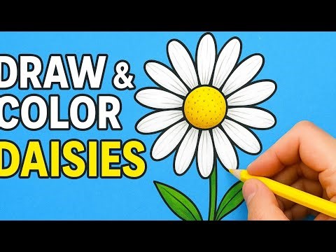 How to Draw & Color a Daisy 🌼 | Easy Art Tutorial.