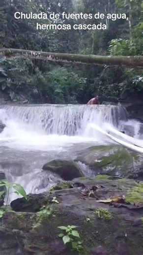 Fran Rivera (@franrivera68)’s videos with original sound - 🇧🇿🎼 𝘚𝘦𝘯𝘪🎧🇧🇿