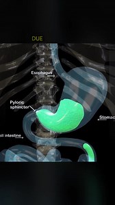 1.7M views · 9.9K reactions | Mix Videos on Reels | Facebook