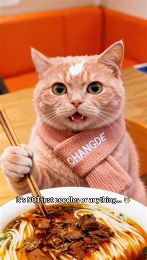 It's NOT just noodles... 😼