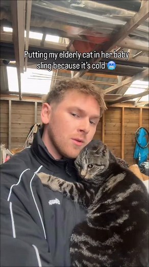 1.1M views · 126K reactions | This is becoming a weekly ritual  Thank you @izmibaby for the sling! 﫶 . . . . . . . . . . #cat #catsofinstagram #cats #catstagram #instacat #catlover #catoftheday #catlovers #cats_of_instagram #ilovemycat #catsagram #lovecats #catlife #tabbycat #cutecat #catlove #kittycat #instacats #caturday #vacations #instagramcats #cats_of_world #mycat #cutecats #lippy #catdad #cat_features | Harry & Lippy | Facebook