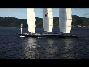 Maltese Falcon 2011