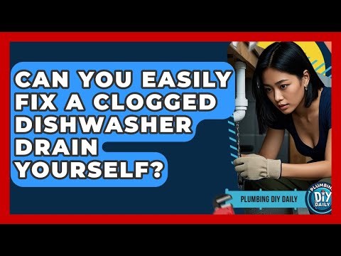Can You Easily Fix A Clogged Dishwasher Drain Yourself? - Plumbing DIY Daily