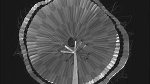 The next time you're asked, "Who has the world record for deploying a 180-pound parachute from a solid cylinder to fully inflated within four-tenths of a second?" You can tell your friends, "NASA." https://go.nasa.gov/2qgCXVi | Space 360