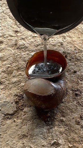 Why I cast a Snail Shell... 🐌💭 #storytime #metalwork #artist